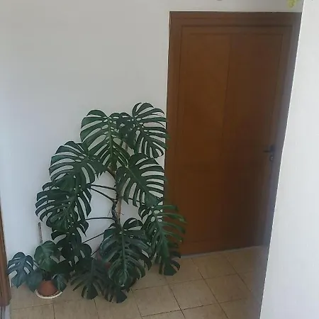 度假居 Imami *